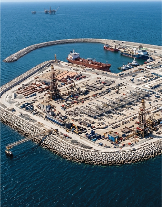 Zirku Plant